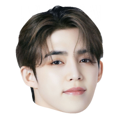 S.Coups4