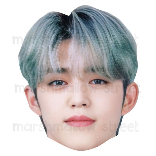 S.Coups1