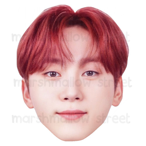 Seungkwan1