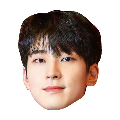 Wonwoo6