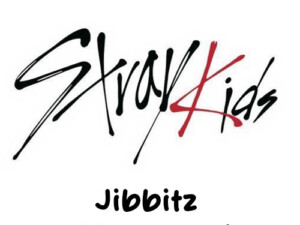 Straykids Jibbitz & Brooch Pins