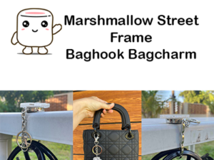 MS Frame Baghook Bagcharm