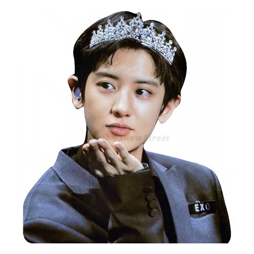 Chanyeol crown