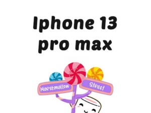Iphone 13 Pro Max