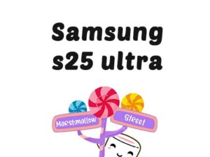 Samsung S25 Ultra